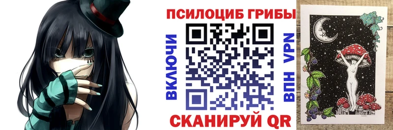 Галлюциногенные грибы Psilocybine cubensis Завитинск